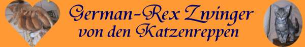 www.german-rex.com