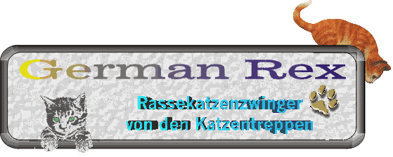 www.german-rex.com
